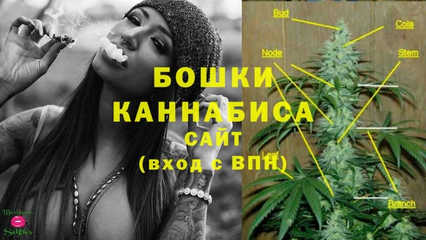 каннабис Алзамай
