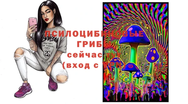 гашиш Няндома