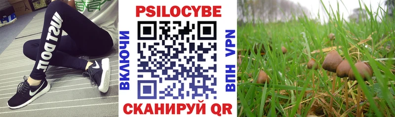 Псилоцибиновые грибы Psilocybe  Анива 